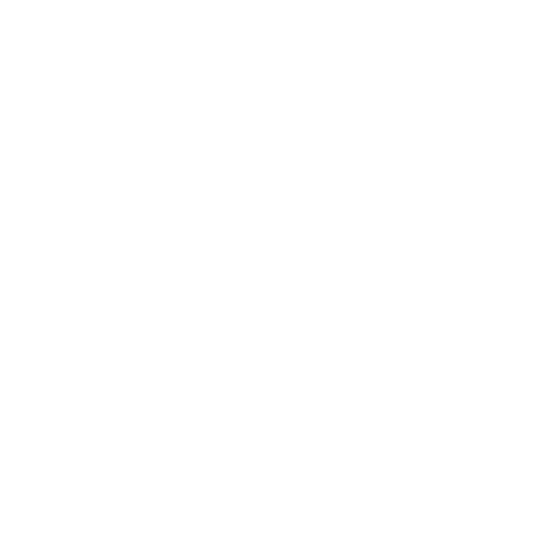 LaunchWell Brands logo